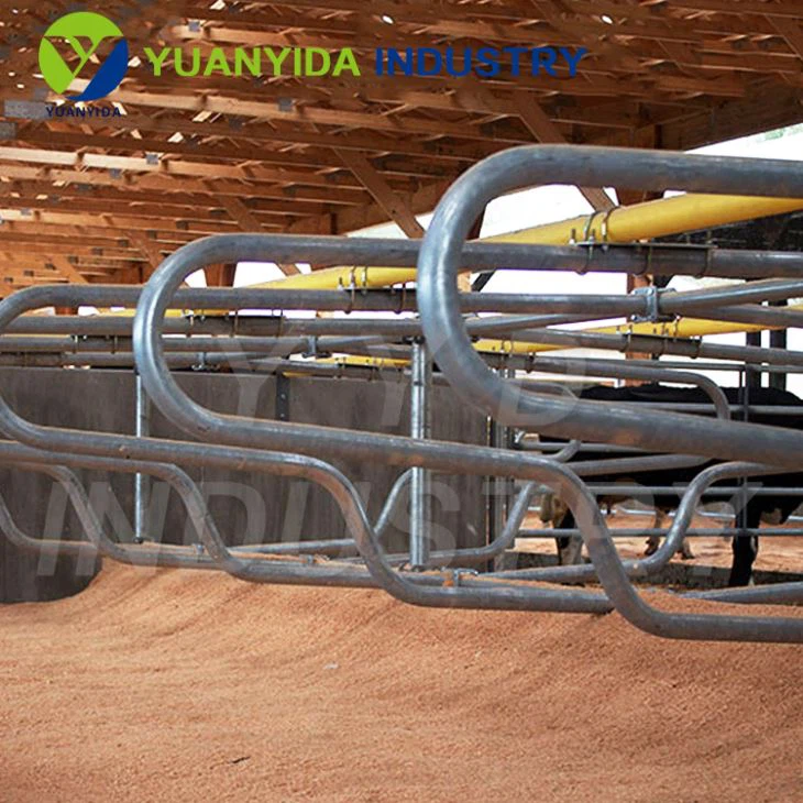 Dairy Cow Stall Equipment
